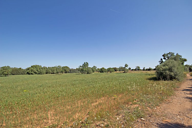 Grundstück mit Baugenehmigung in Campos im Südosten von Mallorca