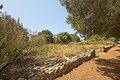 Cala d'Or, Baugrundstück für Privat oder Gewerbe