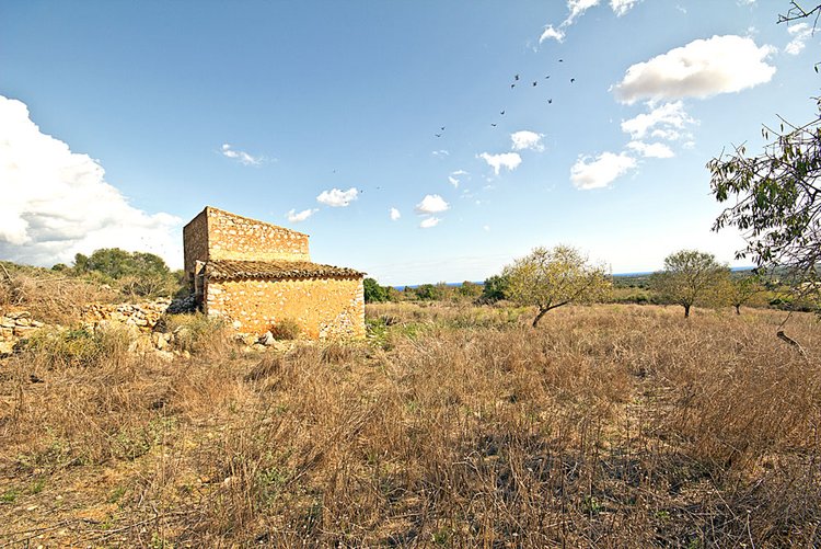 Buy property at the Hamburger Hügel near Santanyi