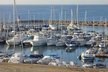Immobilien zu verkaufen in Palma auf Mallorca