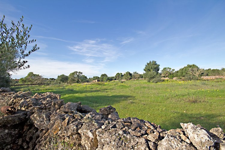 Parcela rústica con vistas al mar en Cala Santanyi en venta