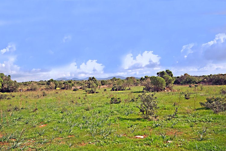 Grundstück mit Blick in Campos zu verkaufen