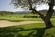 Immobilien zu verkaufen am Golf Majoris auf Mallorca