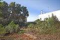 S´Alqueria Blanca, Grundstück für ein Dorfhaus mit Pool