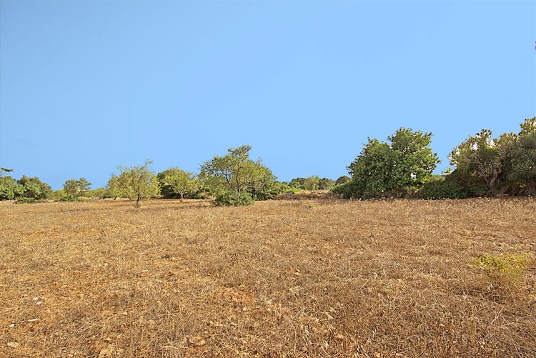 Finca plot with sea views for sale Area of Santanyi