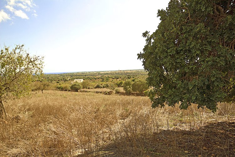Finca land with views to the sea for sale near Santanyi