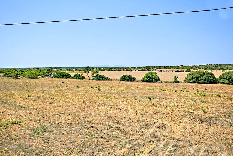 Grundstück mit Meerblick kaufen in Ses Salines