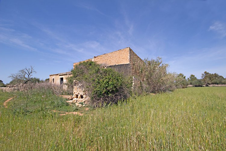 Naturstein Finca zum Renovieren im Südosten von Mallorca kaufen