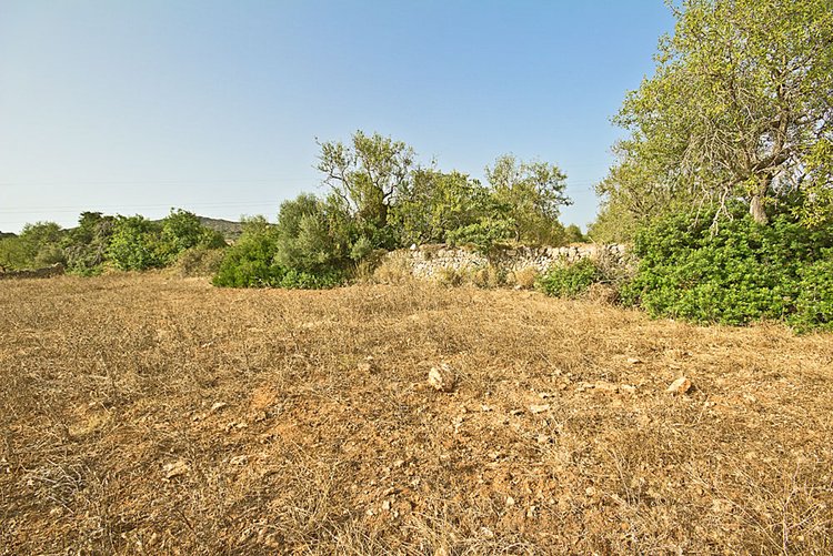Buy land on the Hamburger hill near Santanyi