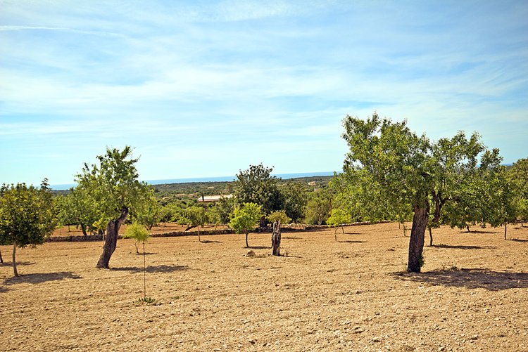 Meerblick-Grundstück kaufen in Santanyi