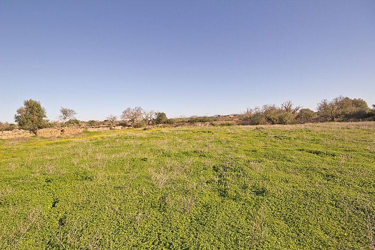 Land sales in Ses Salines in the southeast of Mallorca