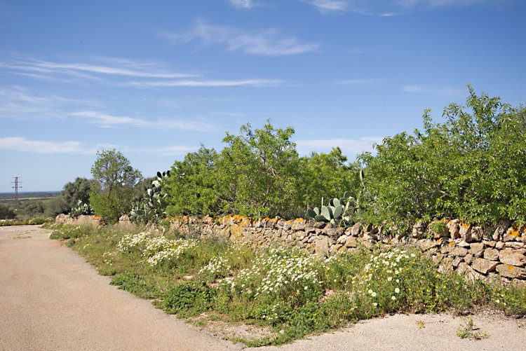 Grundstück für ein Stadthaus mit Pool in Ses Salines zu verkaufen