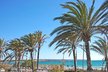 Immobilien zu verkaufen am Strand Salmonia auf Mallorca