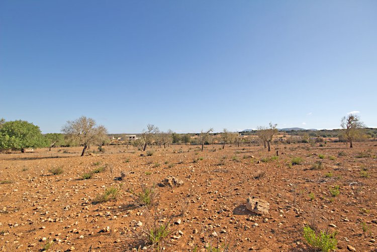 Parcela rústica en venta en Cas Perets cerca de Ses Salines