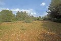 Porreres, Finca-Grundstück in ruhiger Lage