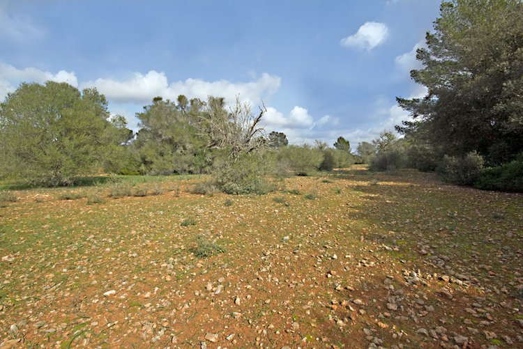 Finca Grundstück in Porreres zu verkaufen