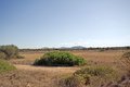 Ses Salines, finca plot with great views