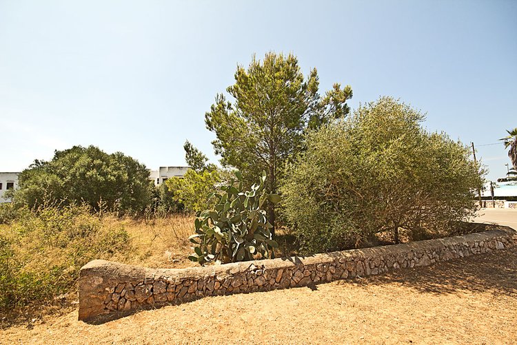Grundstück am Hafen von Cala Dor zu verkaufen