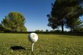 Arabella Golf Son Quint