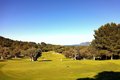 Golfplatz Golf Pollensa