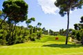 Golf Son Servera