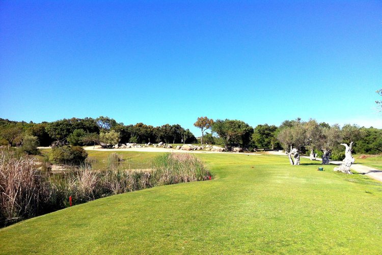 Golfplatz Golf Pollensa auf Mallorca