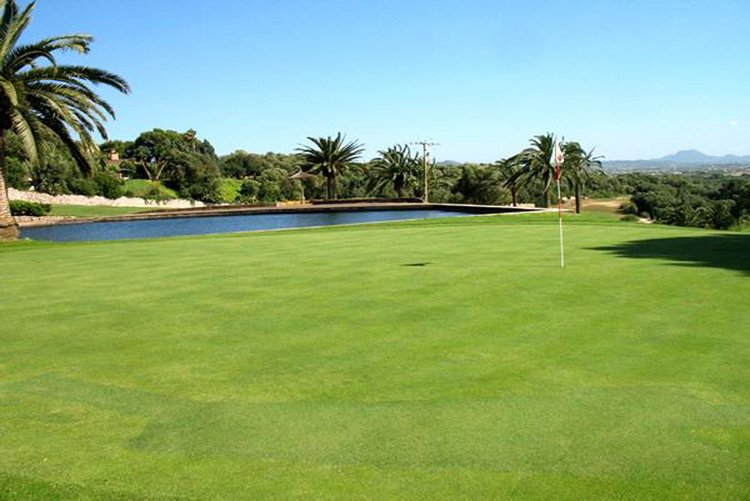 Golfplatz Reserva Rotana Immobilien kaufen in Manacor