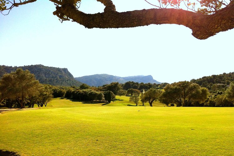 Immobilien kaufen am Golfplatz Golf Pollensa
