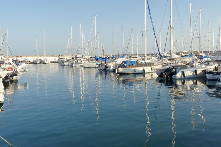 Sa Rapita Mallorca Descripción del Puerto