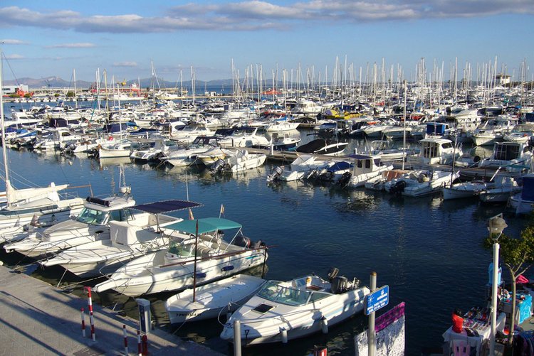 Immobilien kaufen in Port de Alcudia und Umgebung