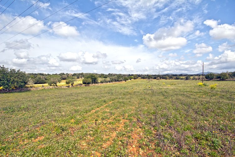buy cheap Finca in Campos