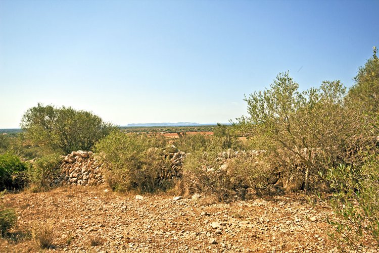 Vista al mar Finca en Ses Salines, en el sureste de Mallorca en venta