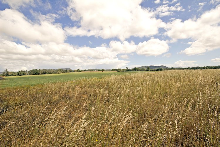 Land for keeping horses in Llucmajor for sale