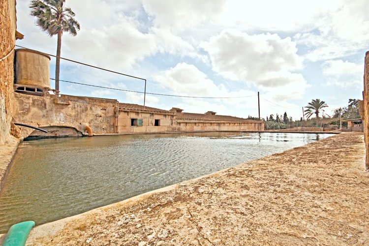 Campos Finca zu renovieren mit tollem Kakteengarten und eigenen Brunnen