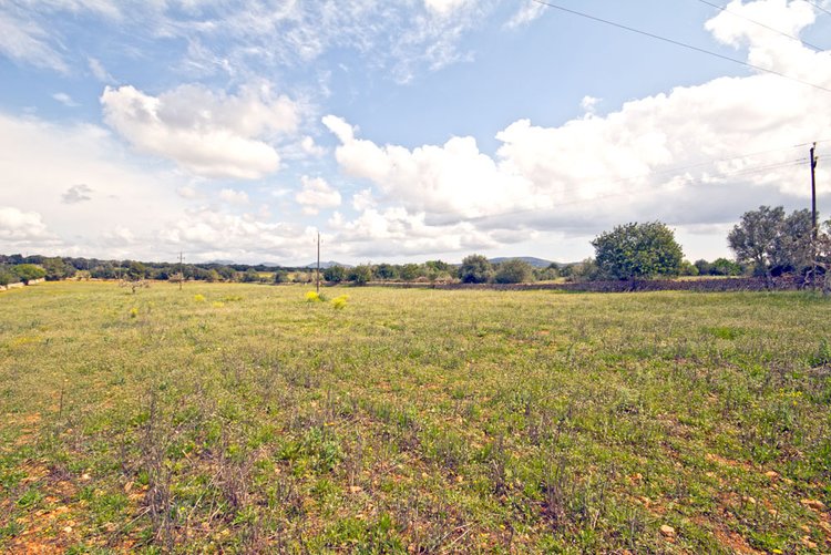 Cheap Land for sale in Campos