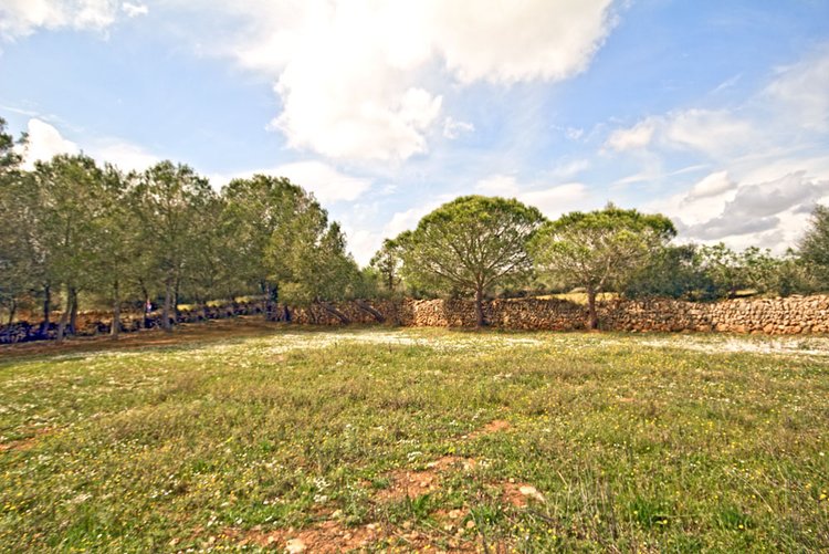 buy cheap land in the southeast of Mallorca