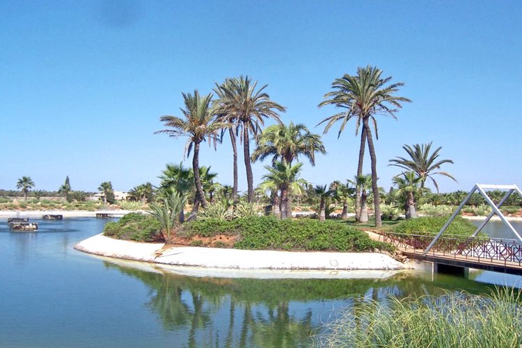 Ses Salines Mallorca inmuebles en venta o alquiler de Inmobiliarias
