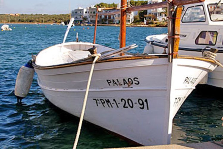 Porto Petro Langzeitvermietungen von Fincas, Villen, Häusern auf Mallorca