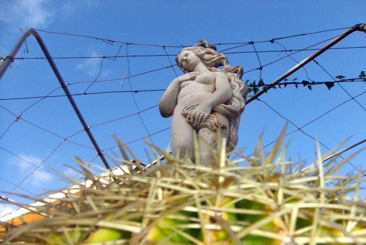 Llucmajor langzeitvermietungen von Finca, Villa, Appartement oder Wohnung