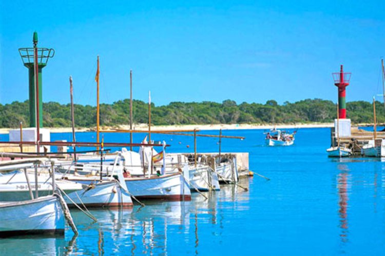 Colonia de Sant Jordi Immobilien wie Fincas, Villen, Apartments kaufen