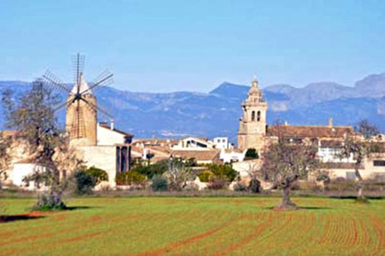 Immobilienmakler für gewerbliche Immobilien in Algaida auf Mallorca