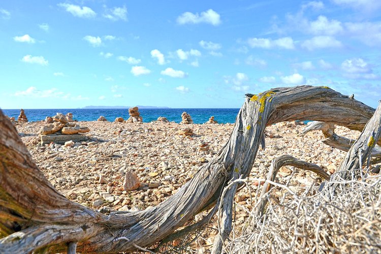 Ses Salines alquiler o venta de propiedades comerciales en Mallorca