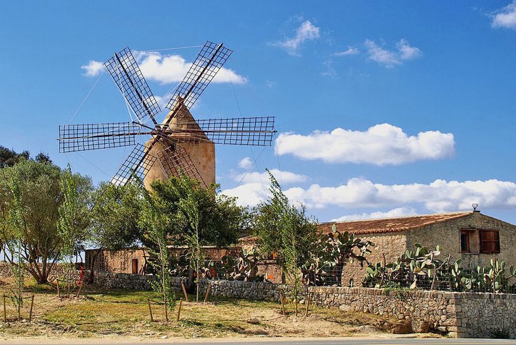 Petra Windmühle in der Inselmitte von Mallorca