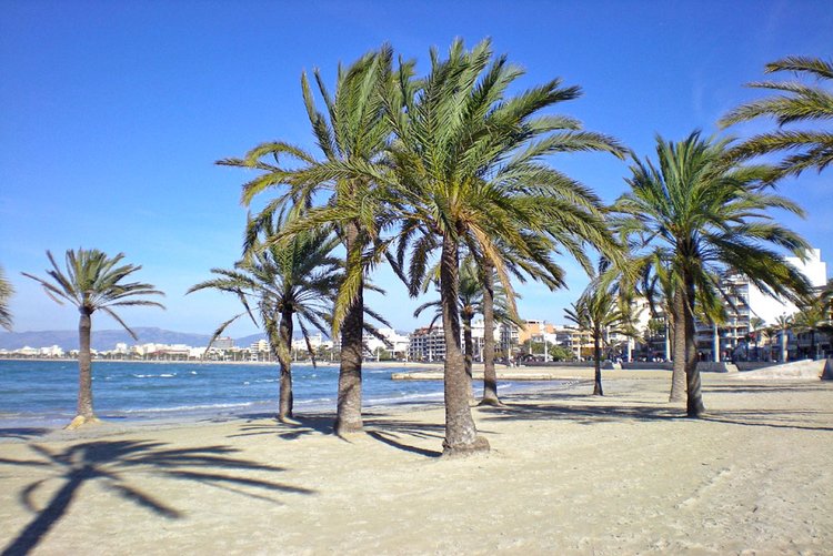 Strand Palma de Mallorca Strandführer
