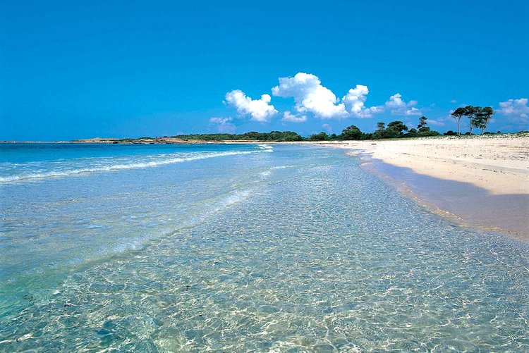 Playa Es Caragol описание пляж и информация