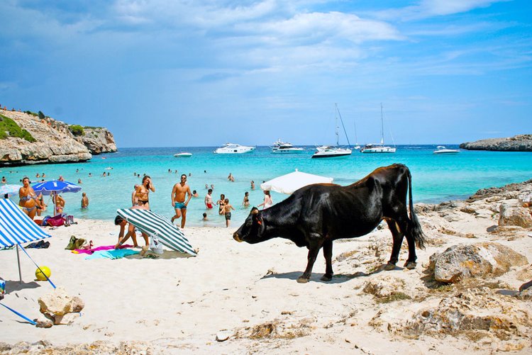 Cala Varques Strand bei Cala Romantica auf Mallorca