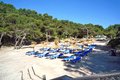 Strand Cala Falco in Calvia