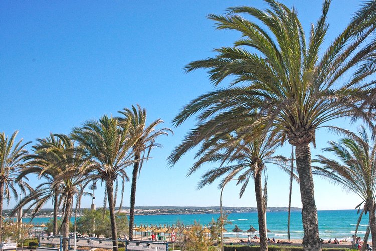 Mallorca Playa de Palma Infos und Beschreibung zum Strand
