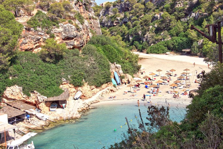 Mallorca Cala Pi beach and useful information about the environment