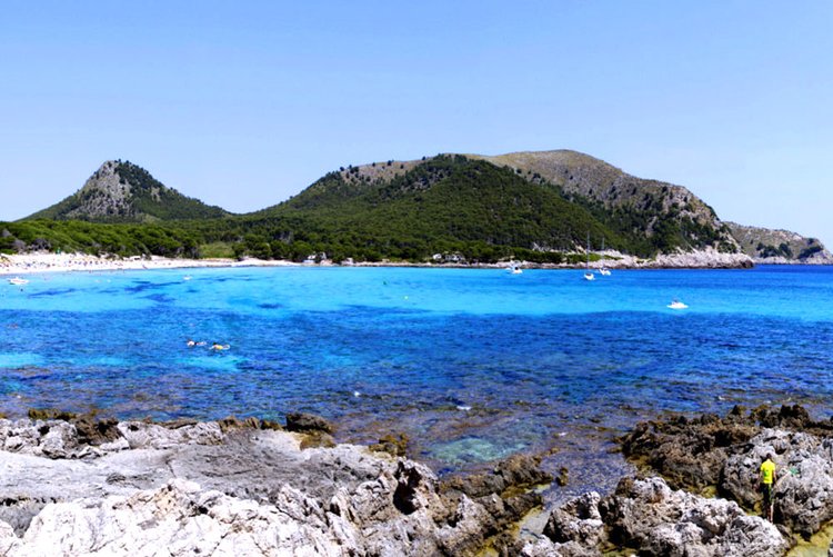 Information for beach Cala Fonoll in Andratx Mallorca